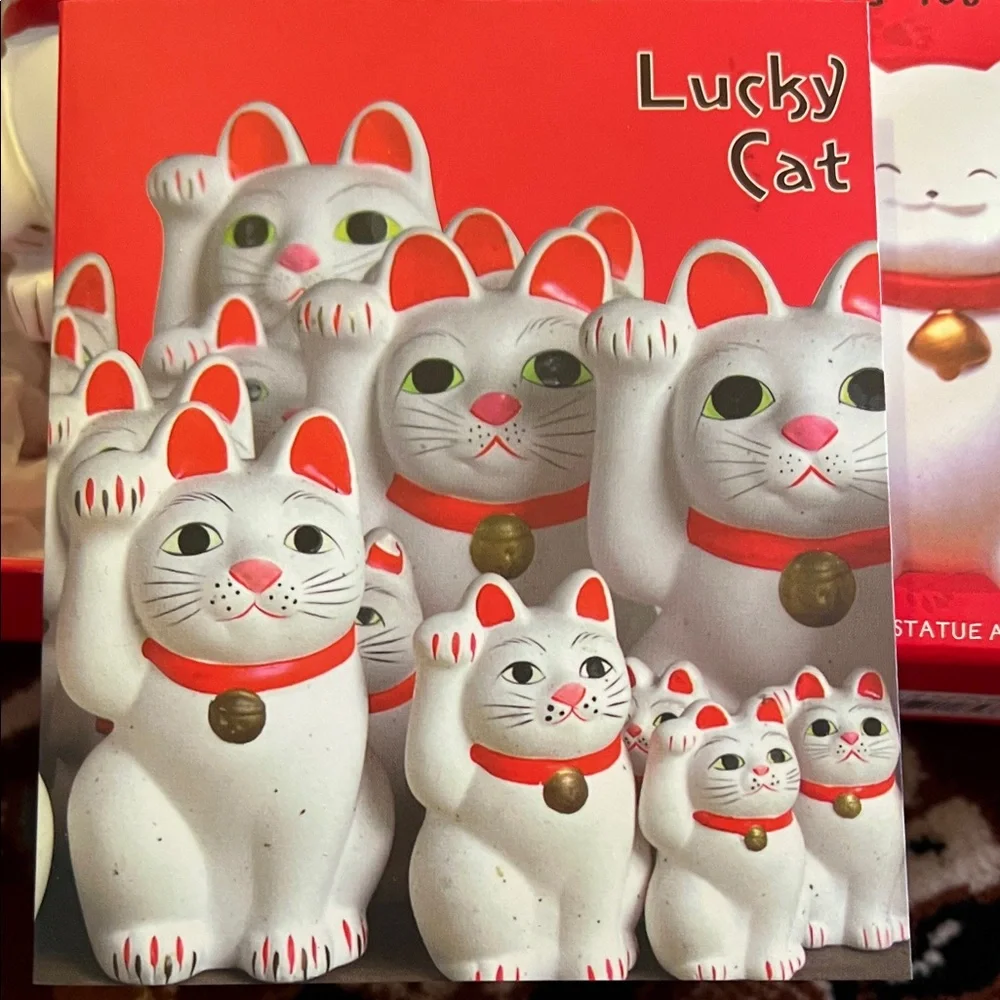 Lucky Cat Red Figurine with Book